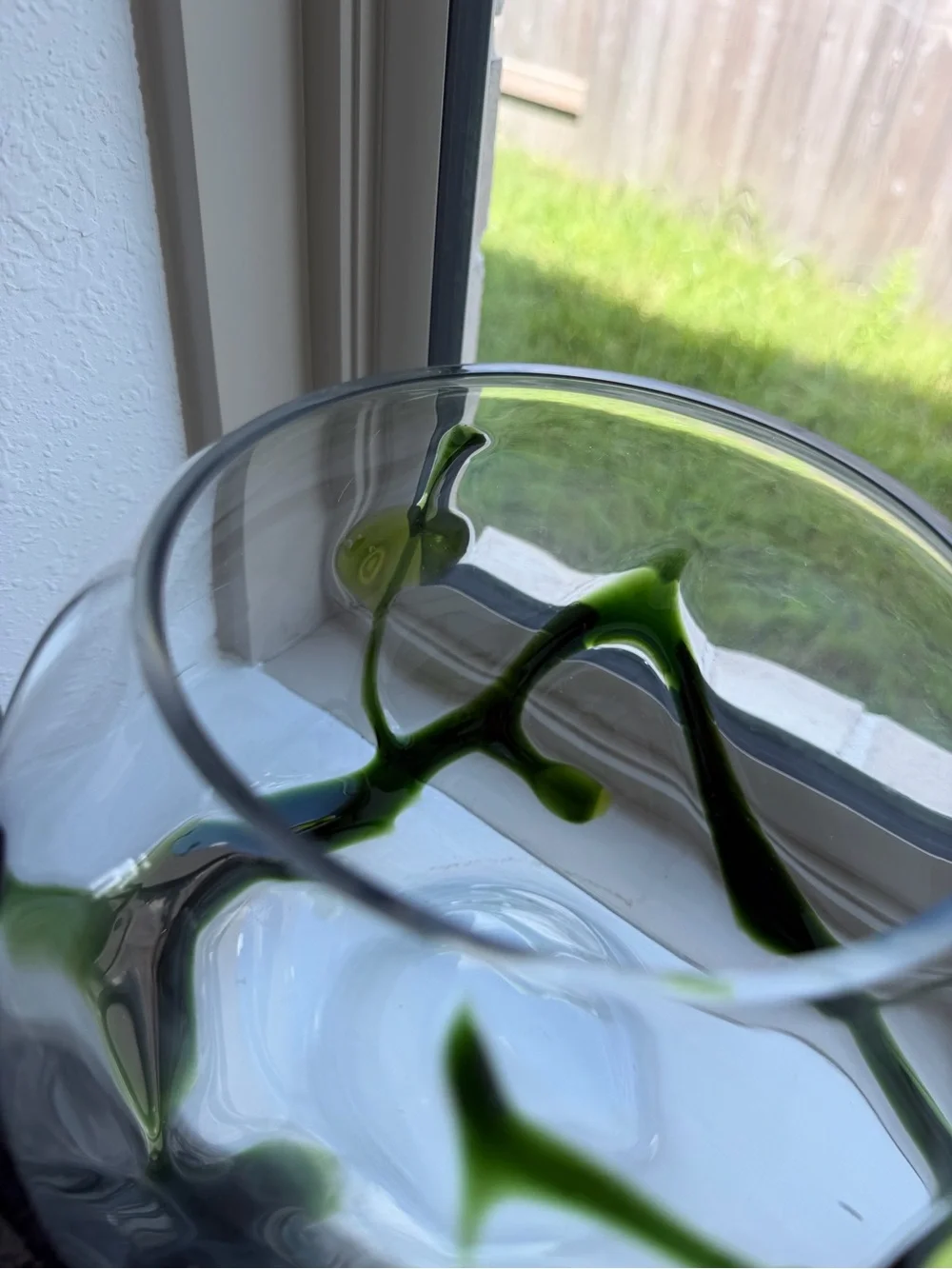 Handblown Glass Bowl with Green Accents